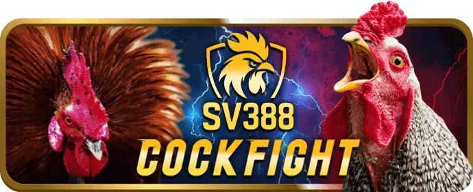 Live Casino e2betvip nhà cái